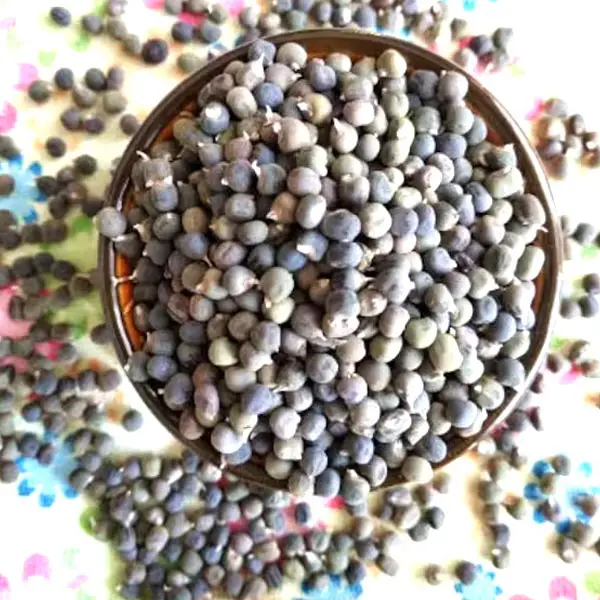 Bhindi Seeds, भिन्डी के बीज, Okra Seeds, Ladyfinger Seeds, Weight 200 gm