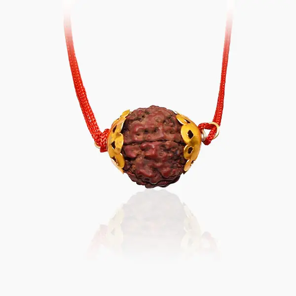 Vighnaharta Rudraksha, Original Vighnaharta Bead, Rudraksha Size 18-20 mm
